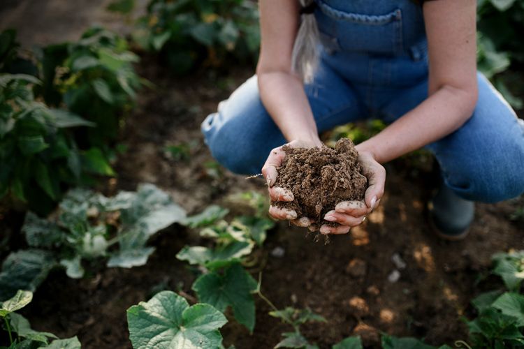Regenerative Ag Sustains and Revives Local Communities by Tracey Ryder