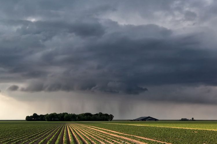 Weathers Impact on Investing in US Agriculture by Craig Wichner