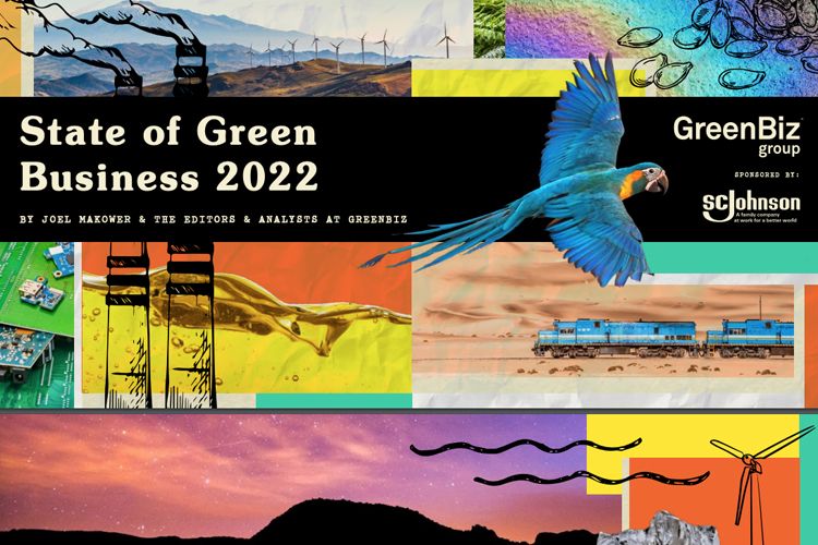 15th annual State of Green Business Report