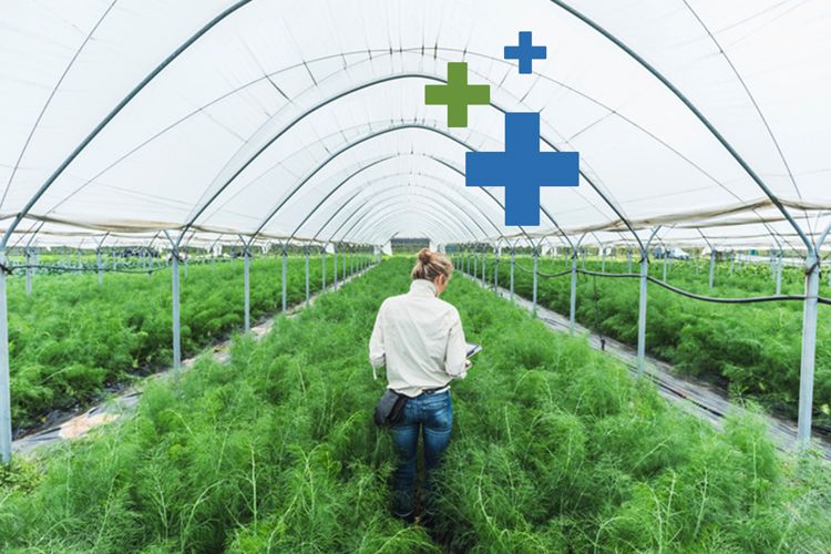 Green Bond Standards Bringing Greater Clarity for Issuers and Investors by Henry Mason and Brian Ellis Calvert Research Mgmt