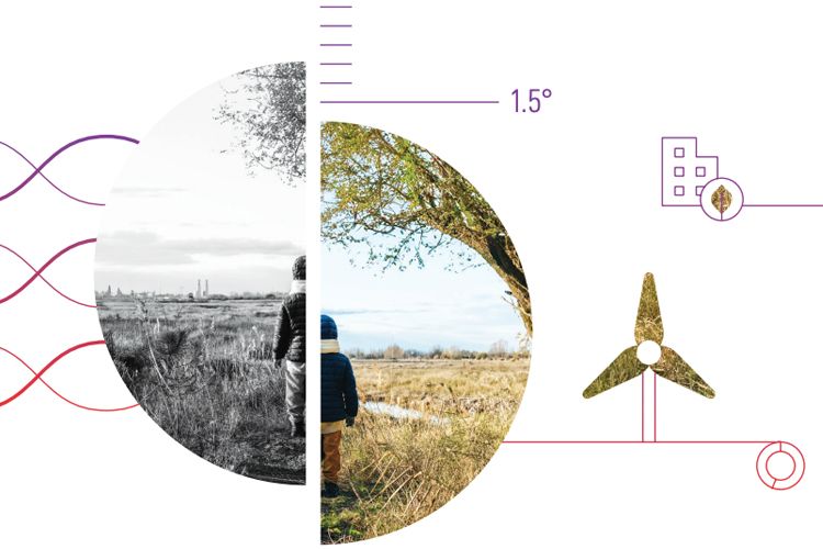 Morningstar Launches Low Carbon Transition Leaders Indexes