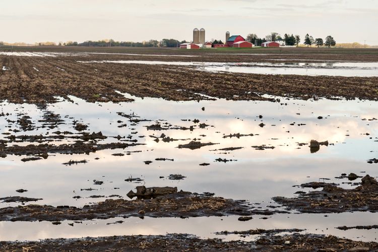 Extreme weather, tariffs, DOGE, frozen funds, and inflation threaten America's beleaguered farmers-John Howell-CCM