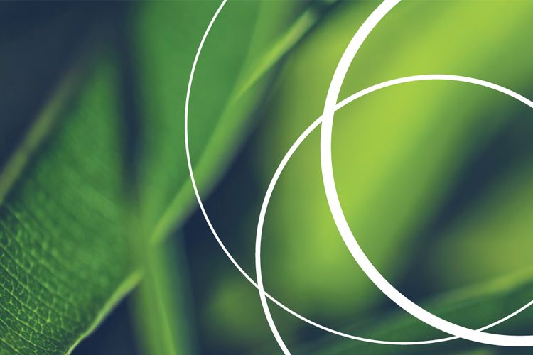 What would Nature do - What would Nature have ME do - by Katherine Collins