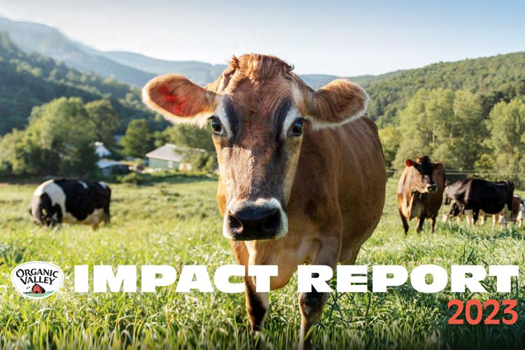 Organic Valley 2023 Impact Report - Sustainable Food System and Small Family Farms