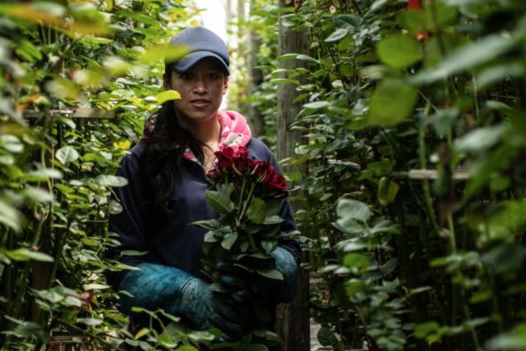 Calvert Impact Capital announces new strategy and creation of Calvert Impact