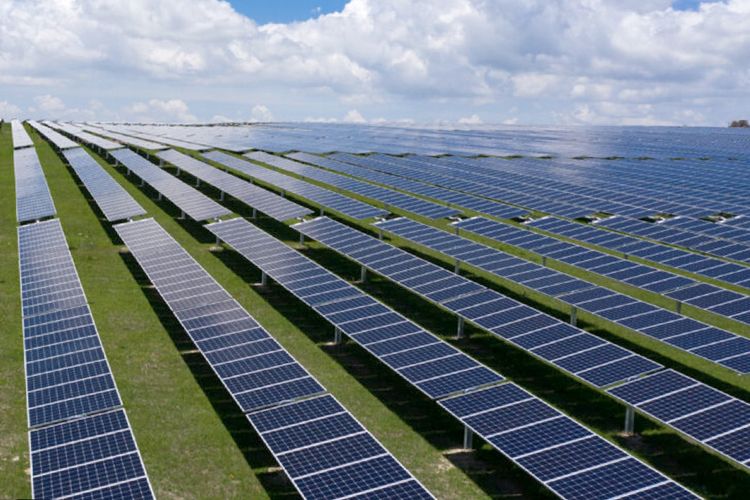 Nextracker - SJF Ventures III - courtesy of MacArthur Found