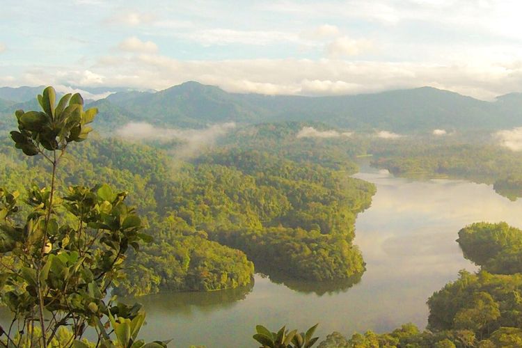 COP16 Biodiversity Conference new pavilion accelerating global action