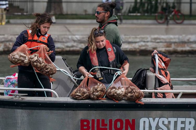 Billion Oyster Project boat by Lexey Swall - The Pew Charitable Trusts