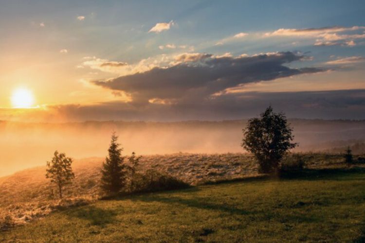 Green Bond Pioneers Create Advisory Firm ImpactARC