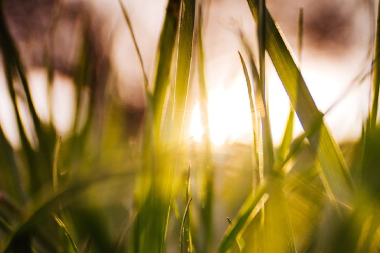 Soil Wealth Areas Unlock Investing in Conservation and Regenerative Ag