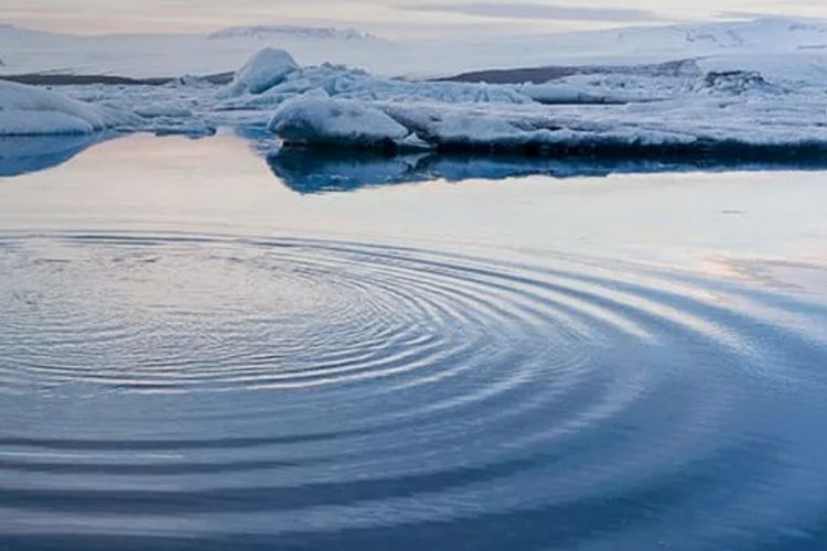 The Rise in Green Bonds - What this means for Investors and the Planet by Leslie Samuelrich Green Century Funds