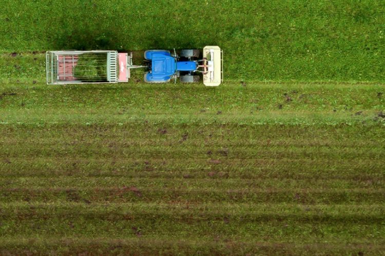 Can We Pay Farmers to Store Carbon Emissions - by Marcello Rossi-CCM