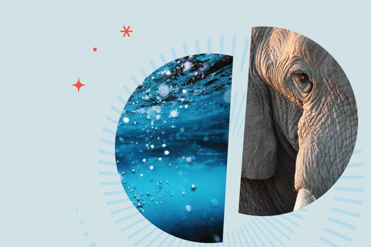 The Way You Invest Matters by Amy Domini