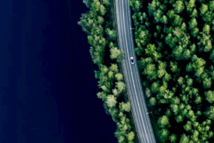 Six predictions for ESG in 2024- The year ESG emerged from fad to essential business