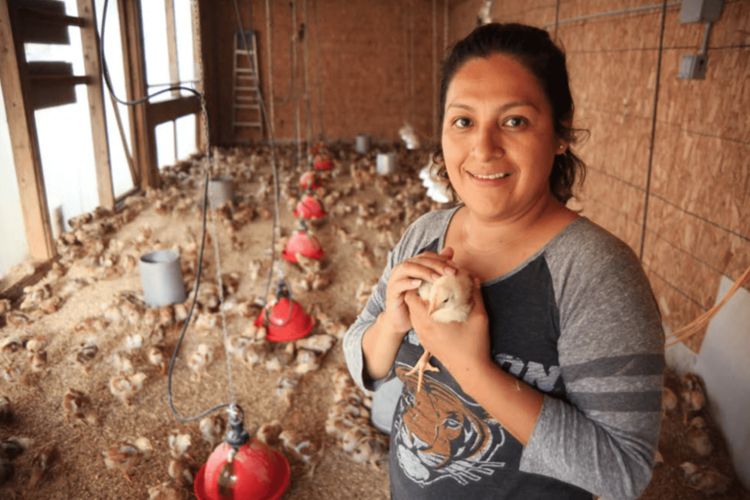 Rodale Inst Invests $2M in IVF to Grow Organic Acres