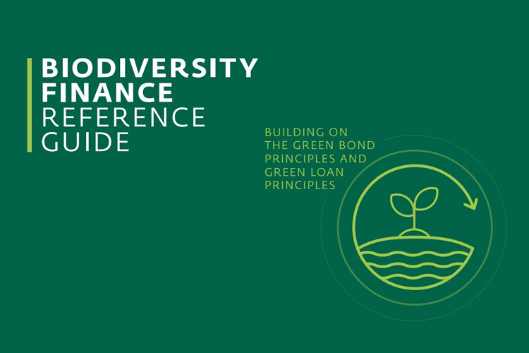 Biodiversity Finance Guide Offers Investors a Blueprint to Protect Nature