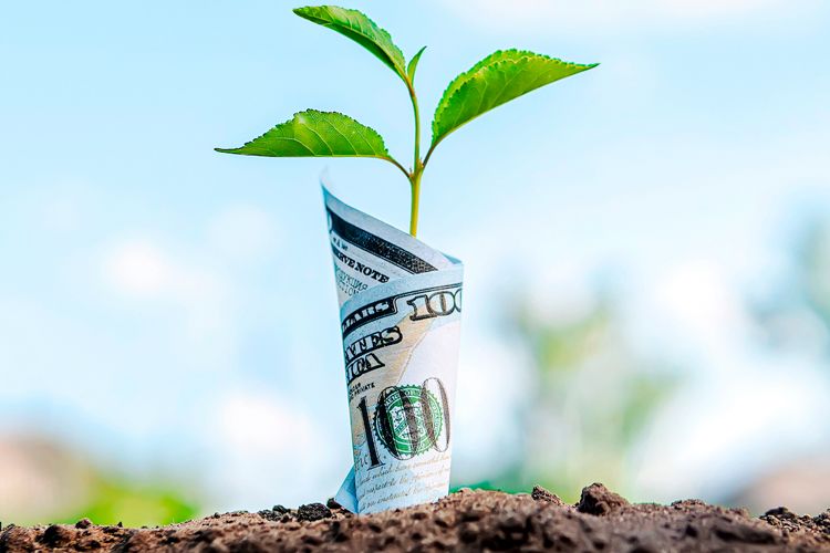 Natural capital earns investor interest by Grant Harrison GreenBiz - shutterstock DIY13