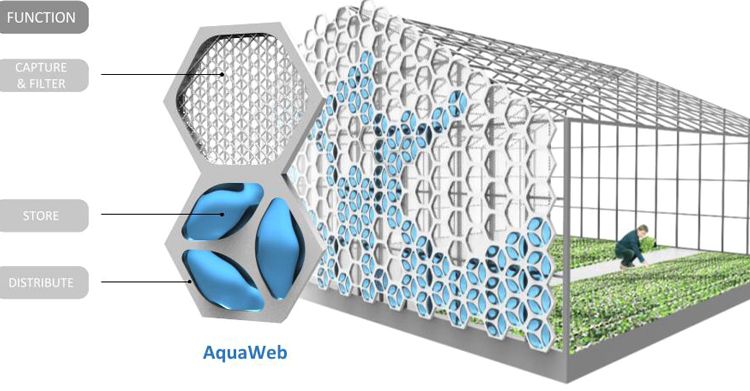 AquaWeb - Ray of Hope - GreenMoneyJournal.com