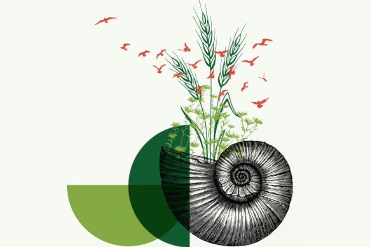 Domini Funds Releases their 2021 Impact Report