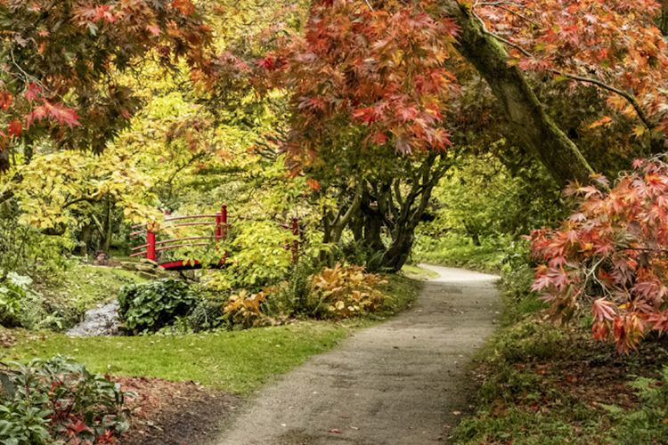 Beyond 2025- Setting Credible Sustainability Goals for Long-Term Impact