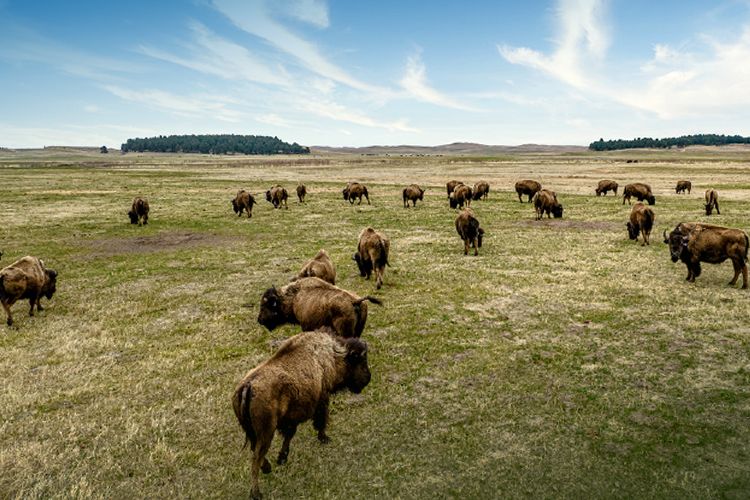 Catalytic Capital Success in Indian Country