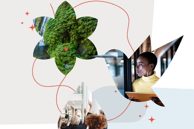 Domini Impact Investments Releases 2022 Impact Report