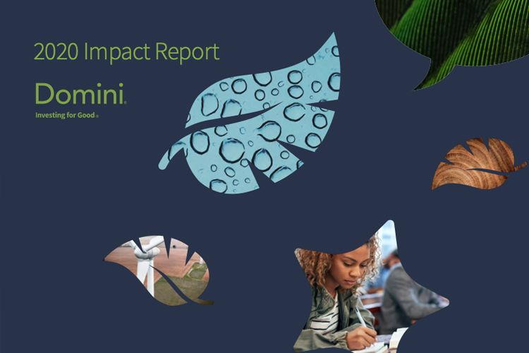 Domini 2020 Impact Report-GreenMoney