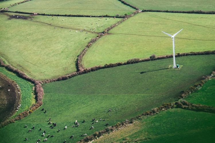 Making Best Farming Practices Work for Investors