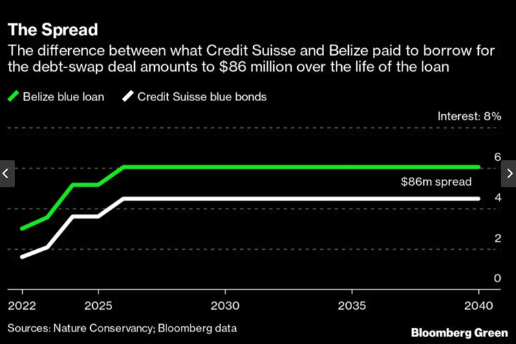 Bloomberg Green - Wall Streets New ESG Money-Maker Promises Nature Conservation