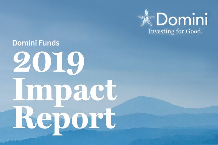 Domini Impact releases Domini Funds 2019 Impact Report-GreenMoney