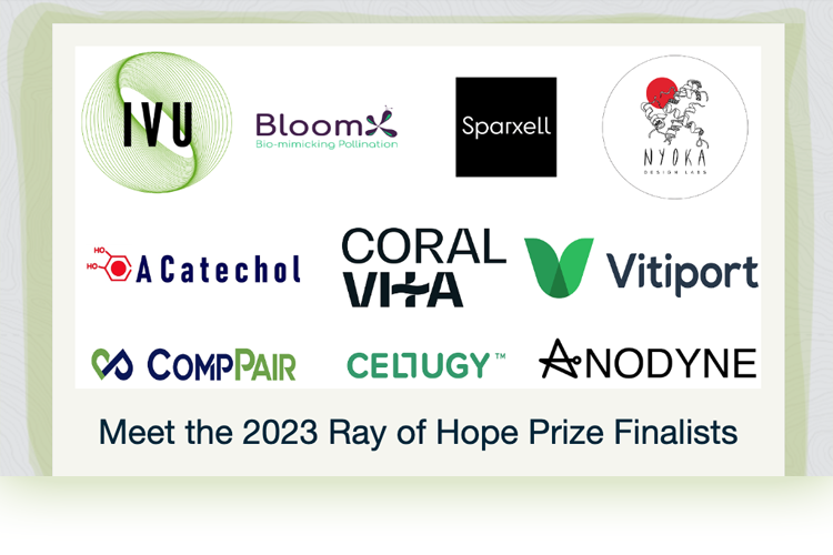 Ray of Home 2023 finalists