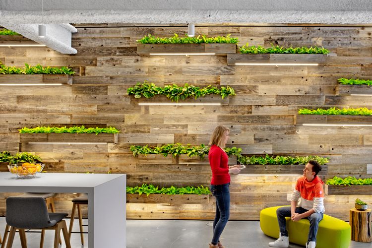 State of the Green Building Industry by Deisy Verdinez of USGBC