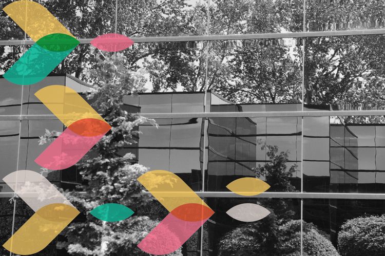 2024 sustainability trends- looking beyond carbon