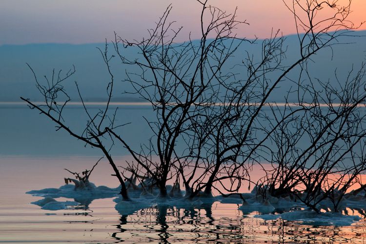 Navigating the Canals of Water Investing by Garvin Jabusch and Betsy Moszeter Green Alpha Advisors
