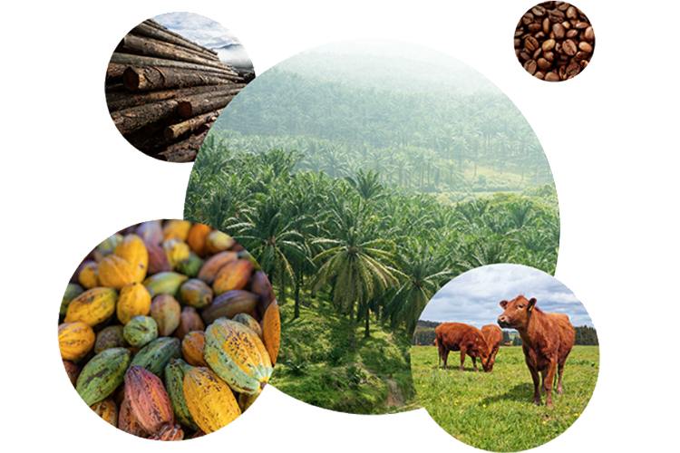 FLINTpro Launches Biodiversity Module on Regulatory Financial Risk for Landowners and Investors