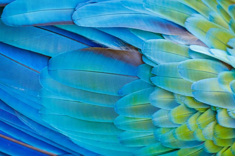 Finding Resiliency Through Designing an Aligned Life by Jina Penn-Tracy