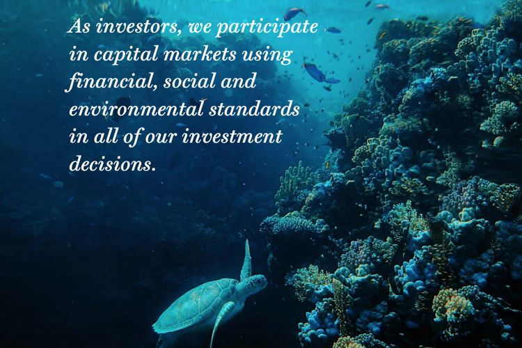 SRI-Investing-a-Global-Perspective-by-Amy-Domini-GreenMoney-Oct.20