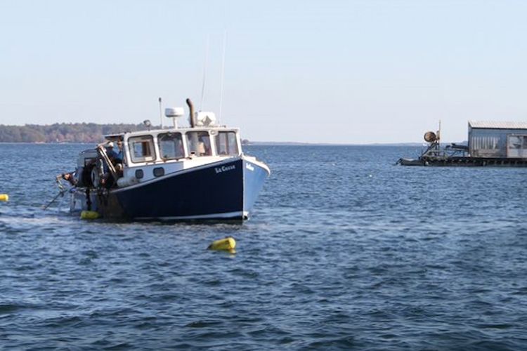 Climate Positive Financing in Sea Farming - by Leah B Thibault CEI