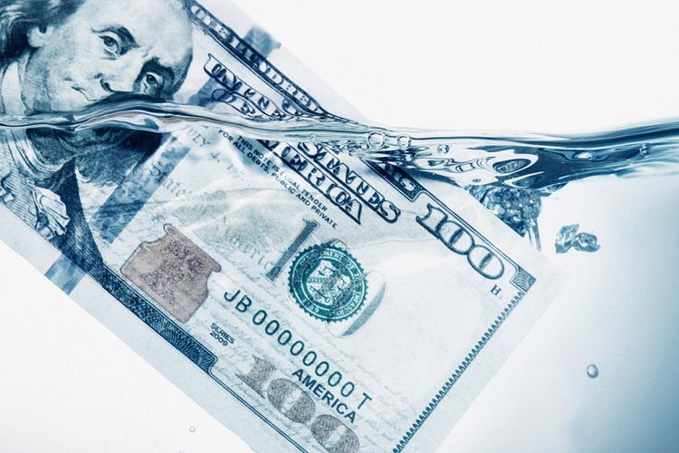 Investing in Water Stewardship by Thomas Schumann and Willem Buiter