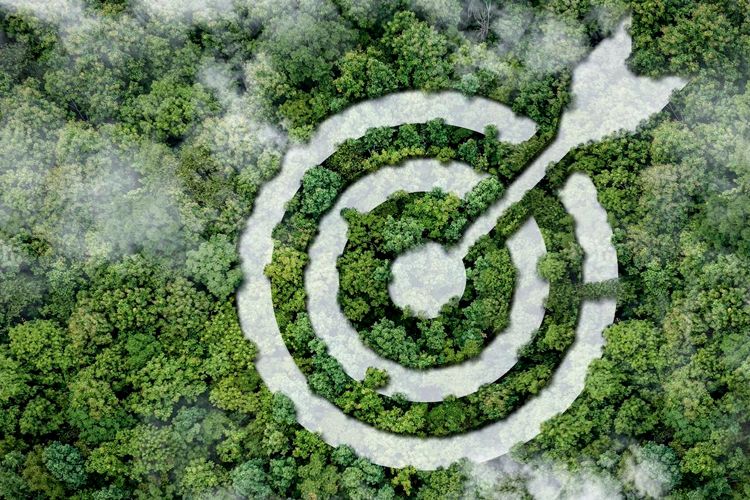 The year ahead in ESG- assurance, transition finance and natural capital