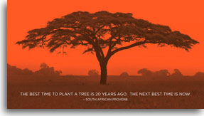 In Mandela’s Footsteps: The Long Walk Continues