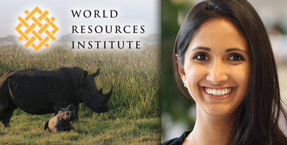 The War Between Farm and Forest