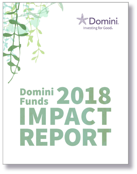 DominiFunds2018ImpactReport