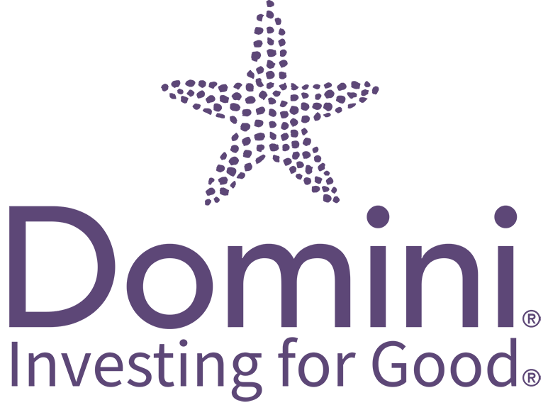 Domini Impact Investments Logo - GreenMoney Journal 2020