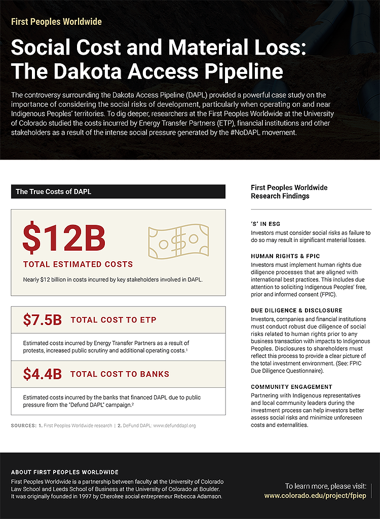 True Costs of DAPL infographic