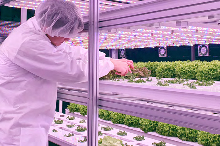 How to Spot Opportunities in Sustainable Food and Agriculture