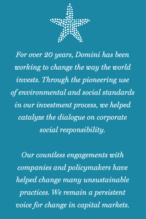For over 20 years Domini has been working to change the way the world invests