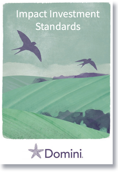 Domini Impact Investment Standards