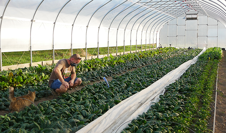 Steve Murray of Heart Beets Farm from The Carrot Project