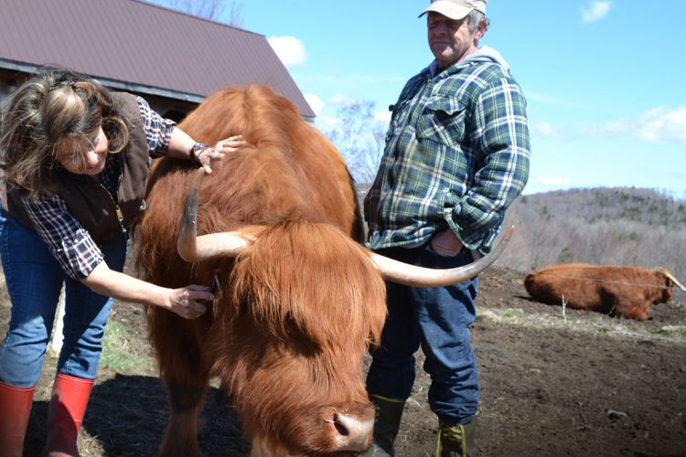 The Carrot Project-Investing in Local Sustainable Ag and Food by Dorothy Suput-The Carrot Project